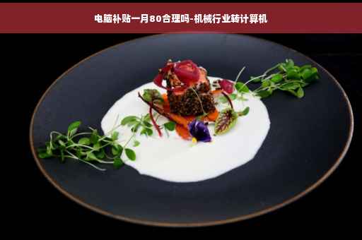 电脑补贴一月80合理吗-机械行业转计算机
