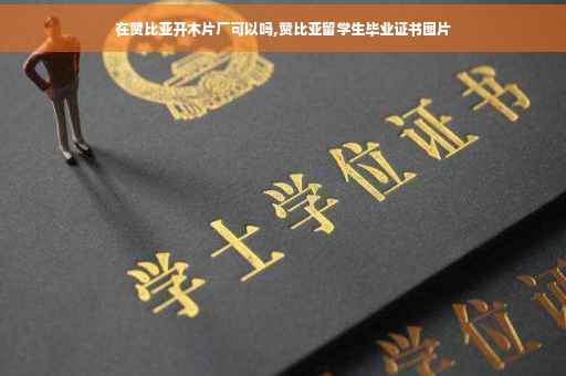 在赞比亚开木片厂可以吗,赞比亚留学生毕业证书图片