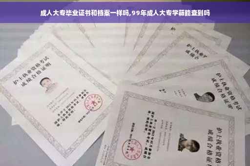 成人大专毕业证书和档案一样吗,99年成人大专学籍能查到吗