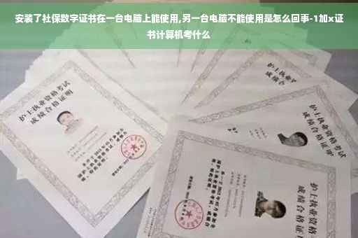 安装了社保数字证书在一台电脑上能使用,另一台电脑不能使用是怎么回事-1加x证书计算机考什么 安装了社保数字证书在一台电脑上能使用,另一台电脑不能使用是怎么回事-1加x证书计算机考什么