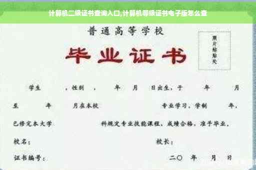 计算机二级证书查询入口,计算机等级证书电子版怎么查