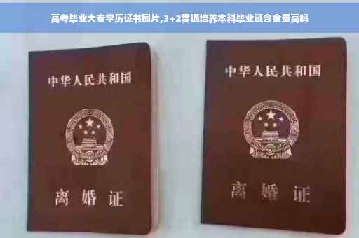 高考毕业大专学历证书图片,3+2贯通培养本科毕业证含金量高吗