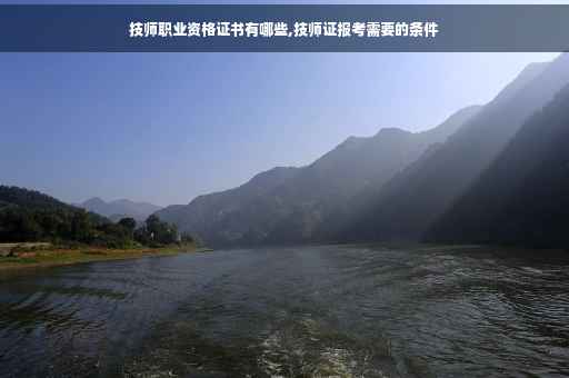 技师职业资格证书有哪些,技师证报考需要的条件