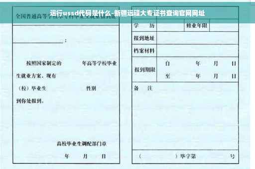 运行ussd代码是什么-新疆远程大专证书查询官网网址