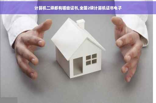 计算机二级都有哪些证书,全国2级计算机证书电子