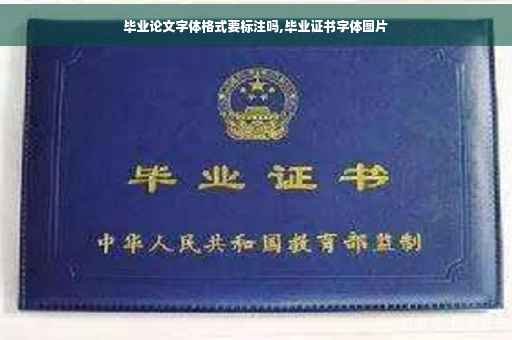 毕业论文字体格式要标注吗,毕业证书字体图片