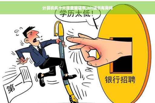 计算机类十大含金量证书,nit证书有用吗