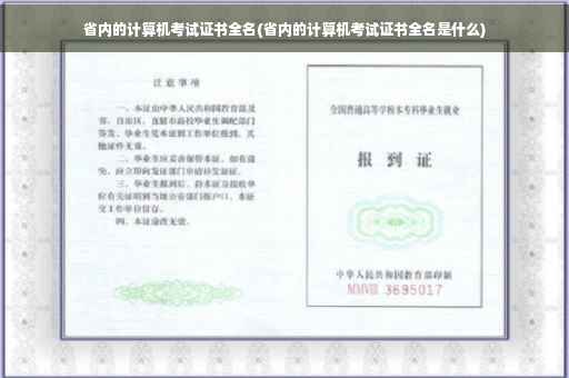 省内的计算机考试证书全名(省内的计算机考试证书全名是什么)