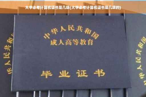 大学必考计算机证书是几级(大学必考计算机证书是几级的)