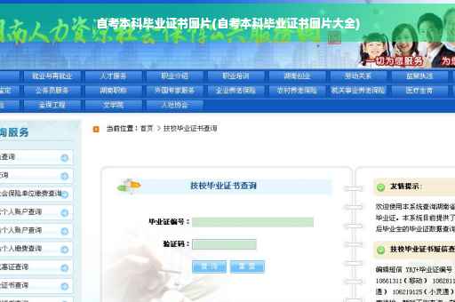自考本科毕业证书图片(自考本科毕业证书图片大全)