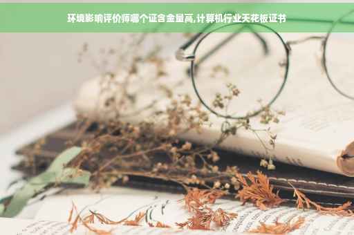 环境影响评价师哪个证含金量高,计算机行业天花板证书