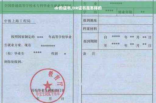 dr的证书,DR证书是怎样的