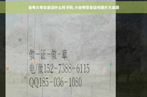 自考大专毕业证什么样子的,小自考毕业证书图片大全图