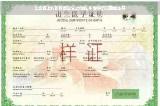 毕业证上的照片是怎么上传的,中专学历证明怎么开