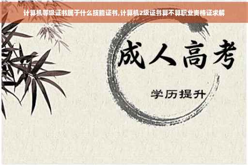计算机等级证书属于什么技能证书,计算机2级证书算不算职业资格证求解