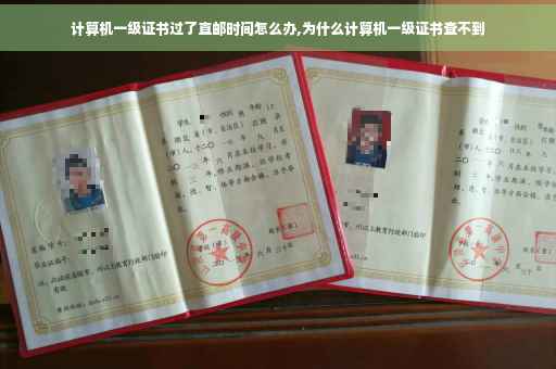 计算机一级证书过了直邮时间怎么办,为什么计算机一级证书查不到