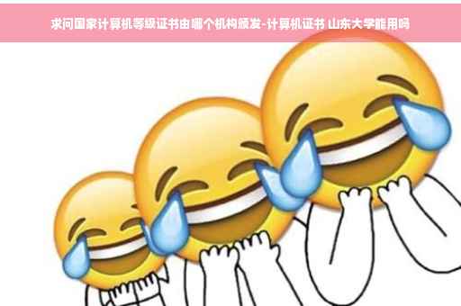 求问国家计算机等级证书由哪个机构颁发-计算机证书 山东大学能用吗