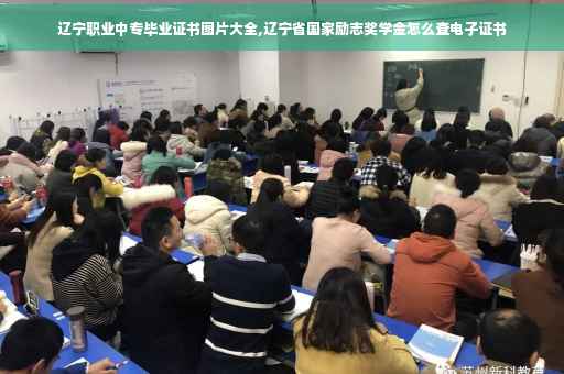 辽宁职业中专毕业证书图片大全,辽宁省国家励志奖学金怎么查电子证书