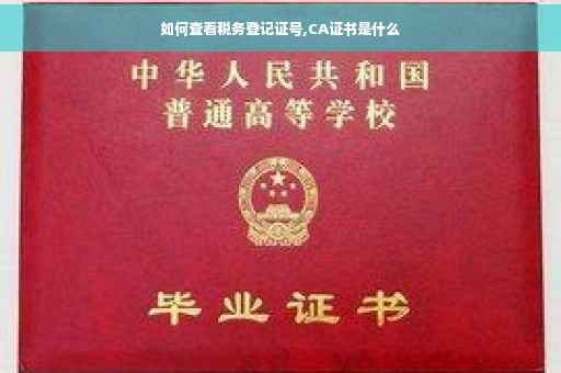 如何查看税务登记证号,CA证书是什么