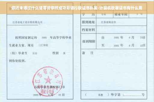 你还未通过什么请等待审核成功后进行软证书补发-计算机软著证书有什么用