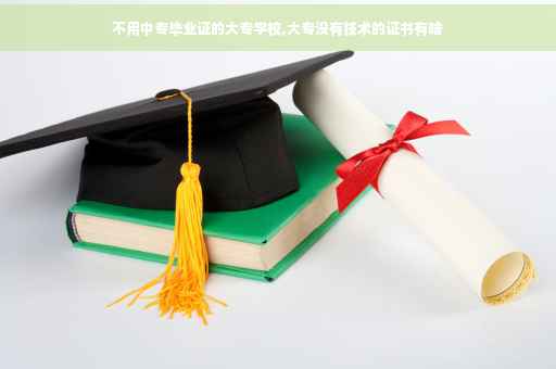 不用中专毕业证的大专学校,大专没有技术的证书有啥