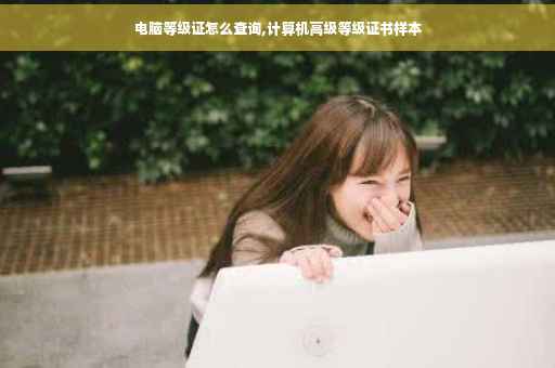 电脑等级证怎么查询,计算机高级等级证书样本