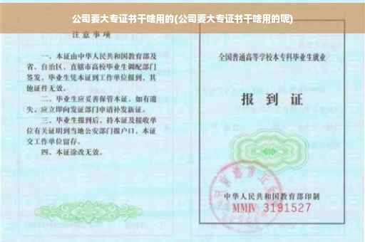 公司要大专证书干啥用的(公司要大专证书干啥用的呢)