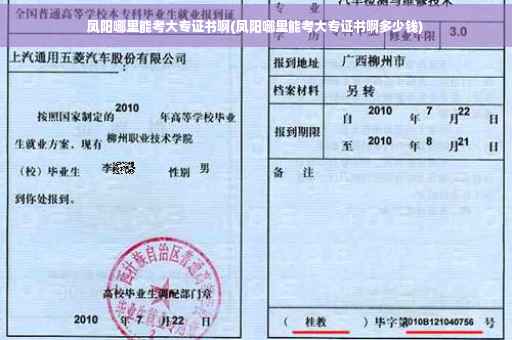 凤阳哪里能考大专证书啊(凤阳哪里能考大专证书啊多少钱)