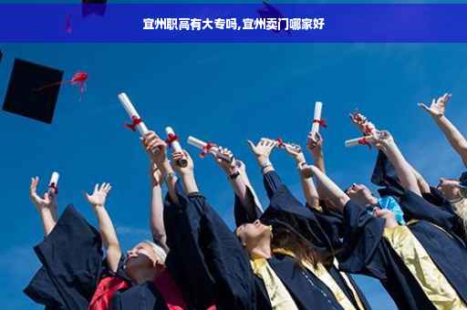 宜州职高有大专吗,宜州卖门哪家好