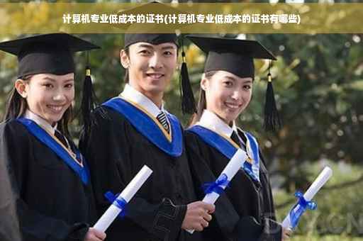 计算机专业低成本的证书(计算机专业低成本的证书有哪些)