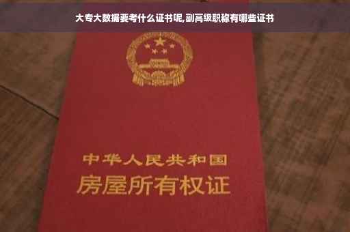 大专大数据要考什么证书呢,副高级职称有哪些证书