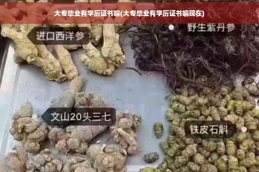 大专毕业有学历证书嘛(大专毕业有学历证书嘛现在)