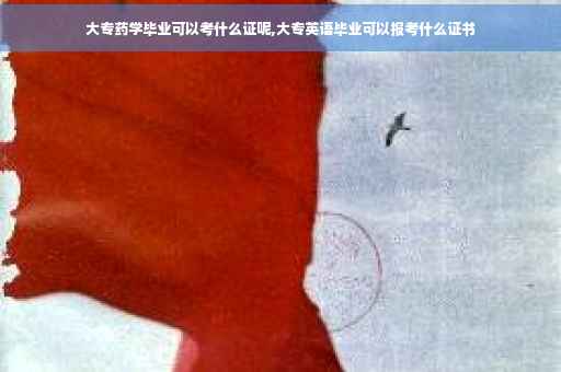 大专药学毕业可以考什么证呢,大专英语毕业可以报考什么证书
