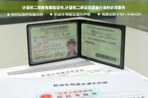 计算机二级都有哪些证书,计算机二级证是哪些行业的必须条件