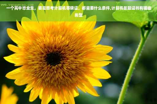 一个高中毕业生，要是想考计算机等级证，都需要什么条件,计算机答题证书有哪些类型