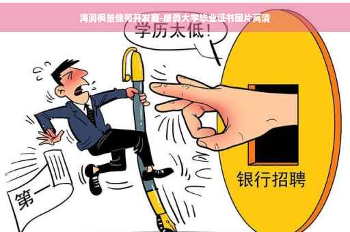 海润枫景佳苑开发商-唐勇大学毕业证书图片高清