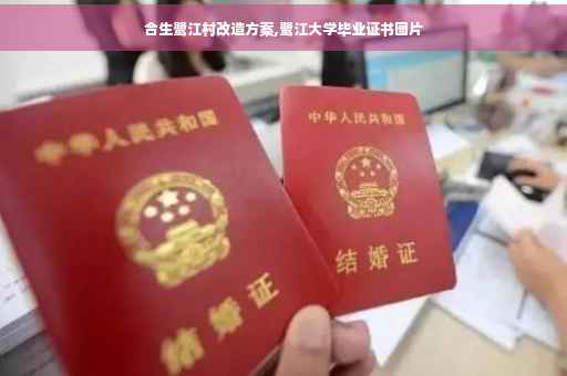 合生鹭江村改造方案,鹭江大学毕业证书图片