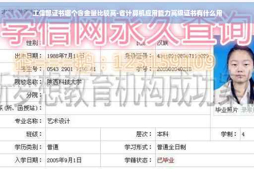 工信部证书哪个含金量比较高-省计算机应用能力高级证书有什么用