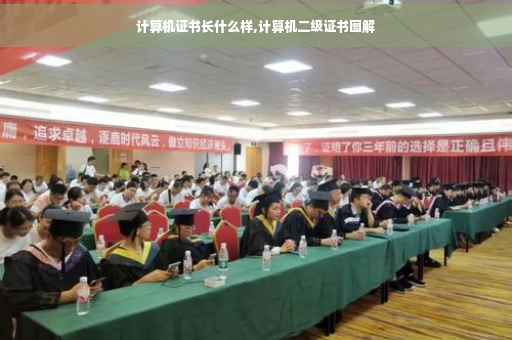 计算机证书长什么样,计算机二级证书图解