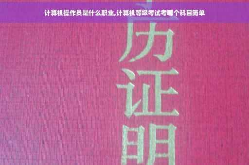 计算机操作员是什么职业,计算机等级考试考哪个科目简单