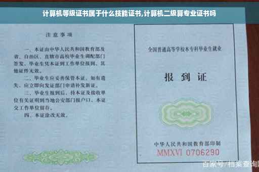 计算机等级证书属于什么技能证书,计算机二级算专业证书吗