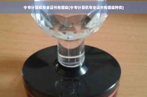 中专计算机专业证书有哪些(中专计算机专业证书有哪些种类)