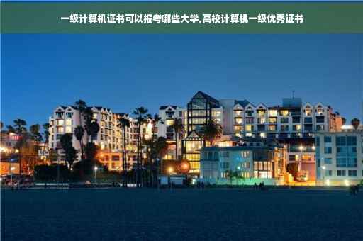 一级计算机证书可以报考哪些大学,高校计算机一级优秀证书