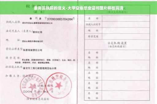 乘务员执照的定义-大学空乘毕业证书图片样板高清