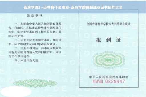 嘉应学院3+证书有什么专业-嘉应学院舞蹈毕业证书图片大全
