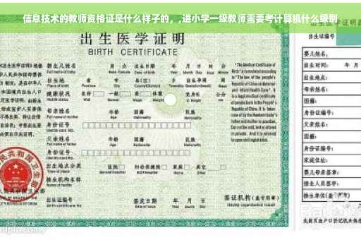 信息技术的教师资格证是什么样子的，,进小学一级教师需要考计算机什么级别