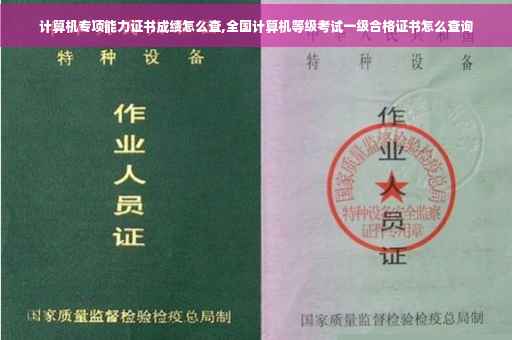 计算机专项能力证书成绩怎么查,全国计算机等级考试一级合格证书怎么查询