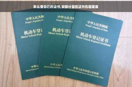 怎么查自已的证书,安徽计算机证书在哪里查