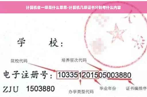 计算机省一级是什么意思-计算机几级证书分别考什么内容