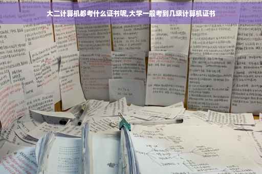 大二计算机都考什么证书呢,大学一般考到几级计算机证书